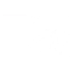 MTV
